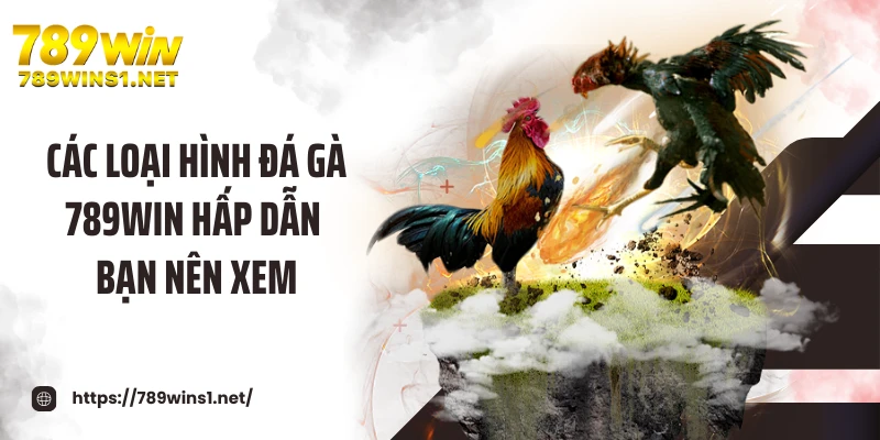 Các loại hình đá gà 789WIN hấp dẫn bạn nên xem