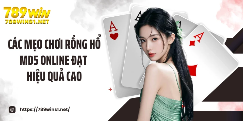 Các mẹo chơi rồng hổ MD5 online đạt hiệu quả cao