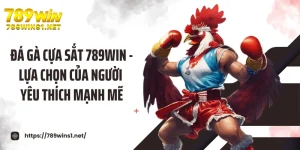 Đá Gà Cựa Sắt 789win - Lựa Chọn Của Người Yêu Thích Mạnh Mẽ