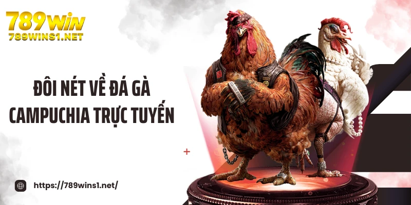 Đôi nét về đá gà Campuchia trực tuyến