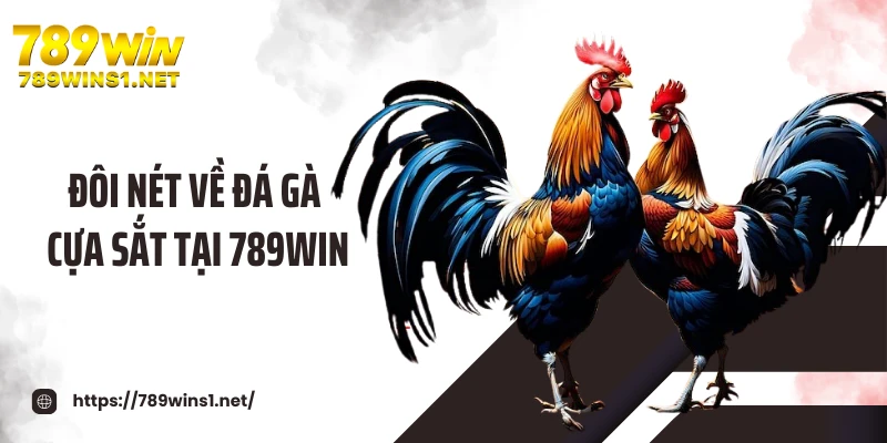 Đôi nét về đá gà cựa sắt tại 789WIN