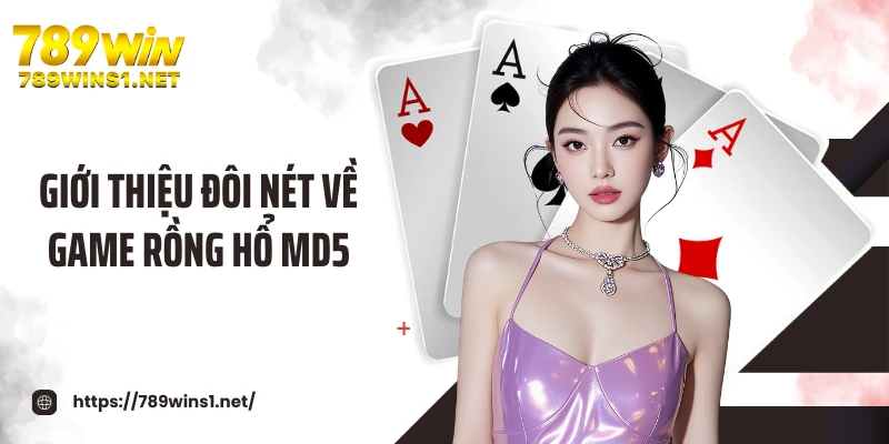 Giới thiệu đôi nét về game rồng hổ MD5