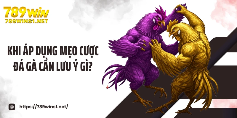 Khi áp dụng mẹo cược đá gà cần lưu ý gì?