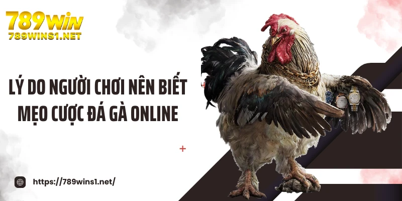 Lý do người chơi nên biết mẹo cược đá gà online