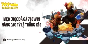 Mẹo Cược Đá Gà 789win Nâng Cao Tỷ Lệ Thắng Kèo