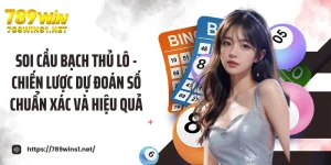 Soi Cầu Bạch Thủ Lô - Chiến Lược Dự Đoán Số Chuẩn Xác Và Hiệu Quả